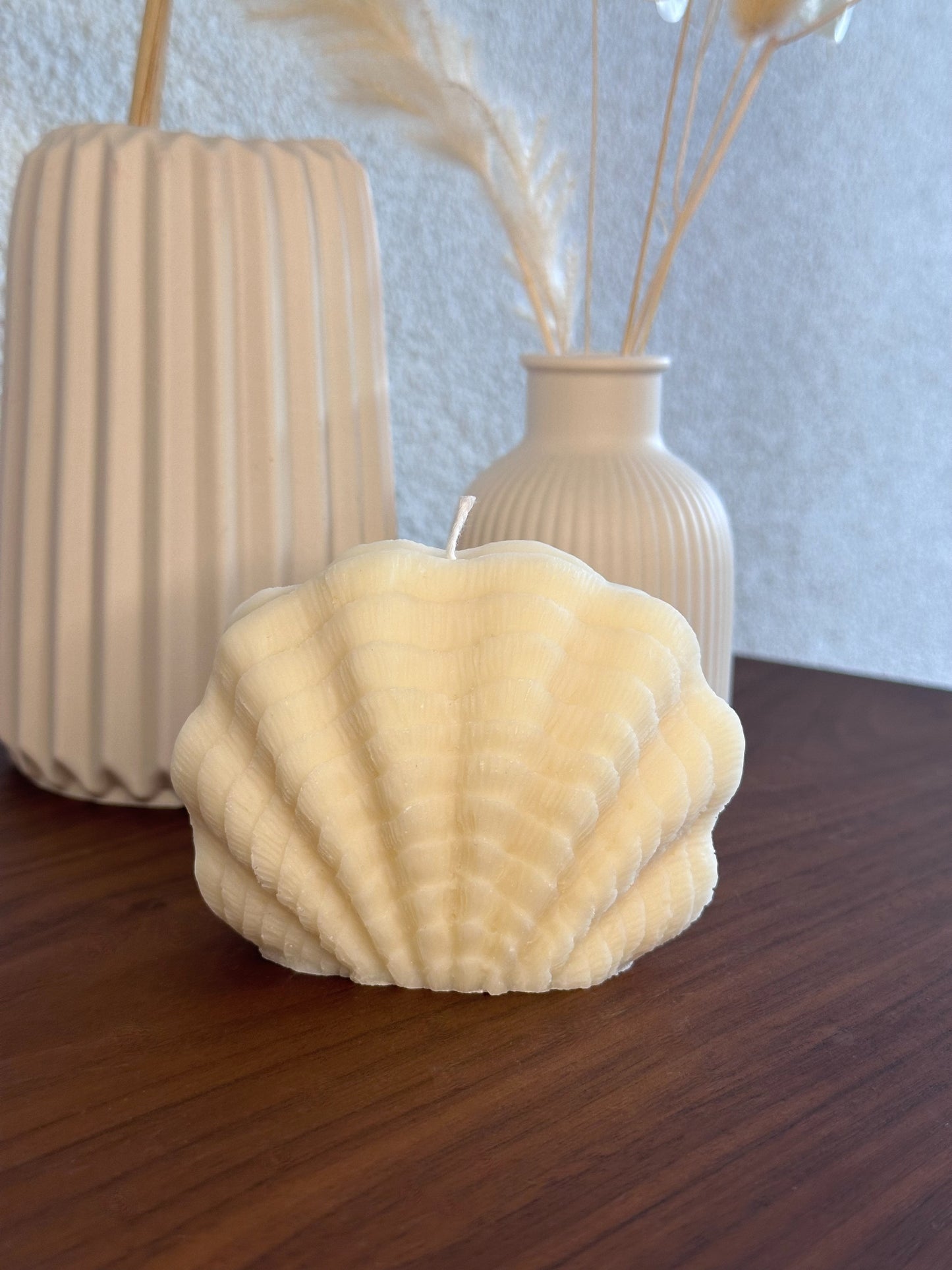 The Shell Candle